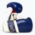 Boxerské rukavice Rival Impulse Sparring navy