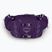 Pánská ledvinka Osprey Tempest 6 l violac purple 