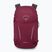 Turistický batoh Osprey Hikelite 26 l chameleon/ black
