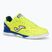 Pánské kopačky  Joma Top Flex Rebound IN yellow/royal