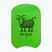 Plavecká deska Funky Trunks Training Kickboard the goat