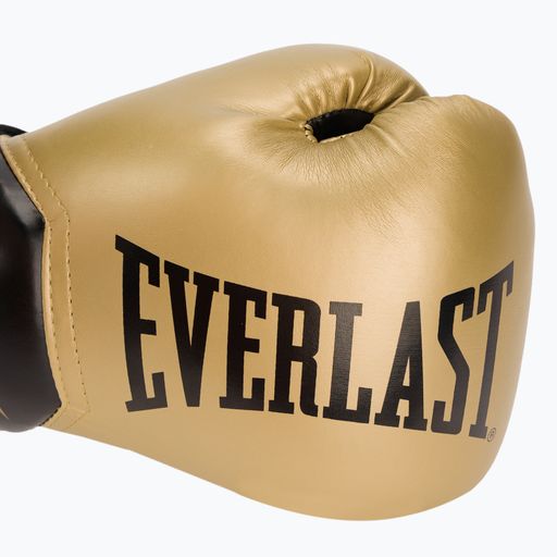 Pánské boxerské rukavice EVERLAST Pro Style Elite 12 zlaté EV2500 GOLD-10 oz. 5
