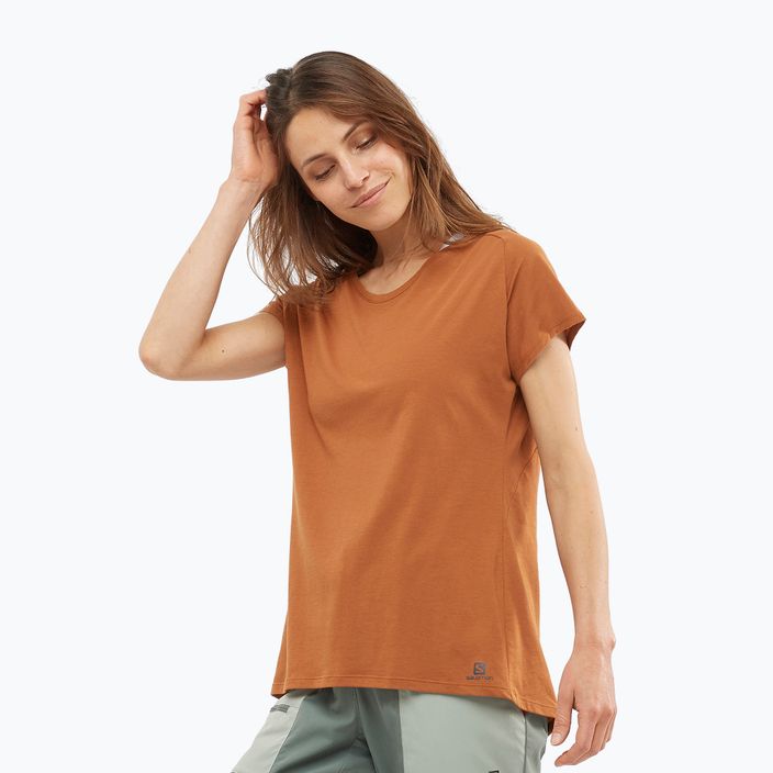 Dámské trekingové tričko Salomon Essential Shaped SS oranžové LC1700900 2