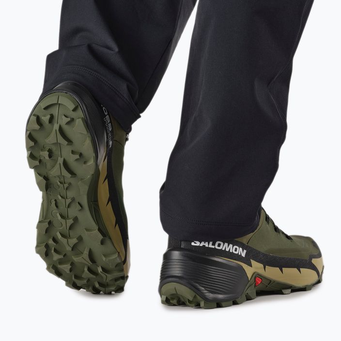 Pánská trekingová obuv Salomon Cross Hike GTX 2 zelená L41730800 4