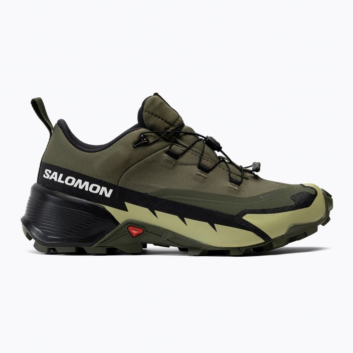 Pánská trekingová obuv Salomon Cross Hike GTX 2 zelená L41730800 2
