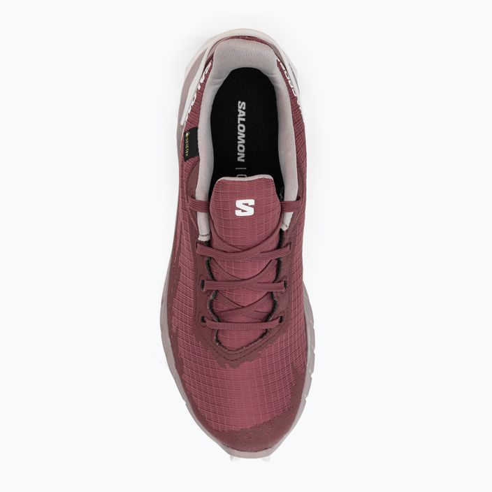 Dámská běžecká obuv Salomon Alphacross 4 GTX růžový L47117400 8