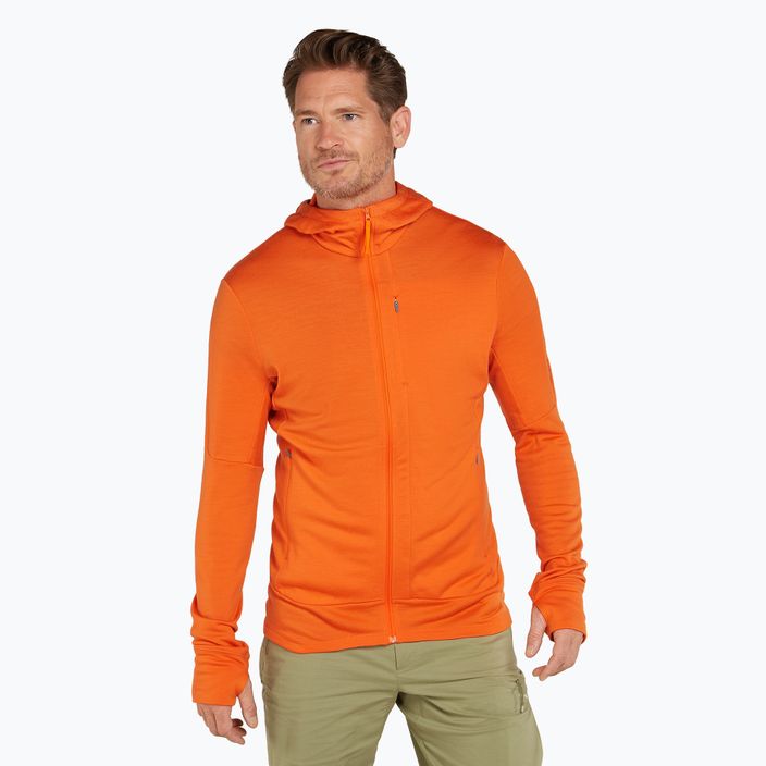 Pánská trekingová mikina  icebreaker Merino 260 Quantum IV Zip Hoodie blaze