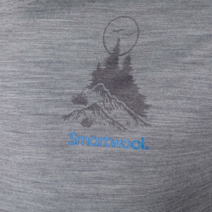 Pánské tričko Smartwool Wilderness Summit Graphic Tee světle šedé 16673 6
