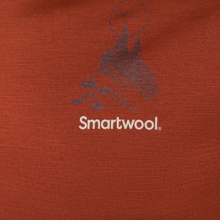 Pánské tričko Smartwool Wilderness Summit Graphic Tee hnědé trekingové tričko 16673 6