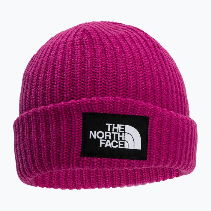 Čepice The North Face Salty Dog růžová NF0A7WG81461 2