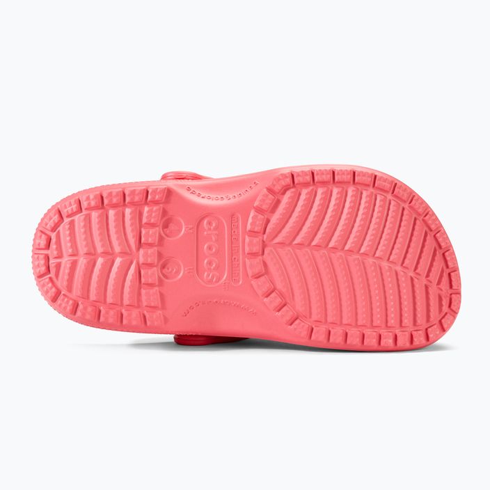 Nazouváky  Crocs Classic hot blush 5