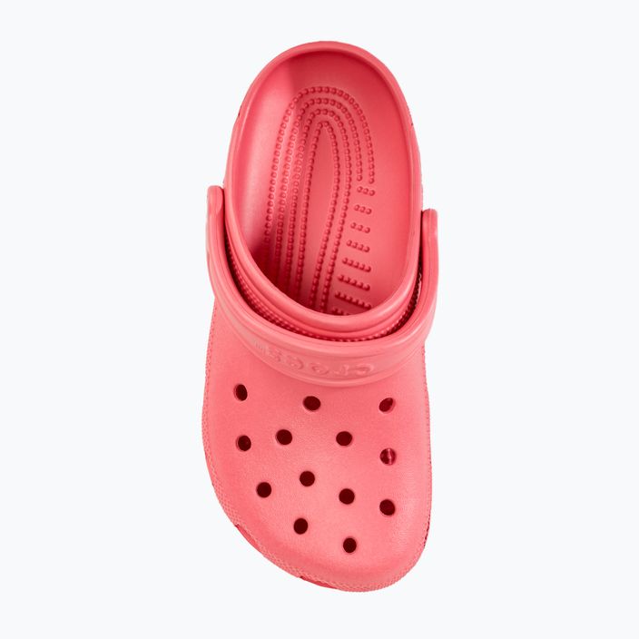 Nazouváky  Crocs Classic hot blush 6