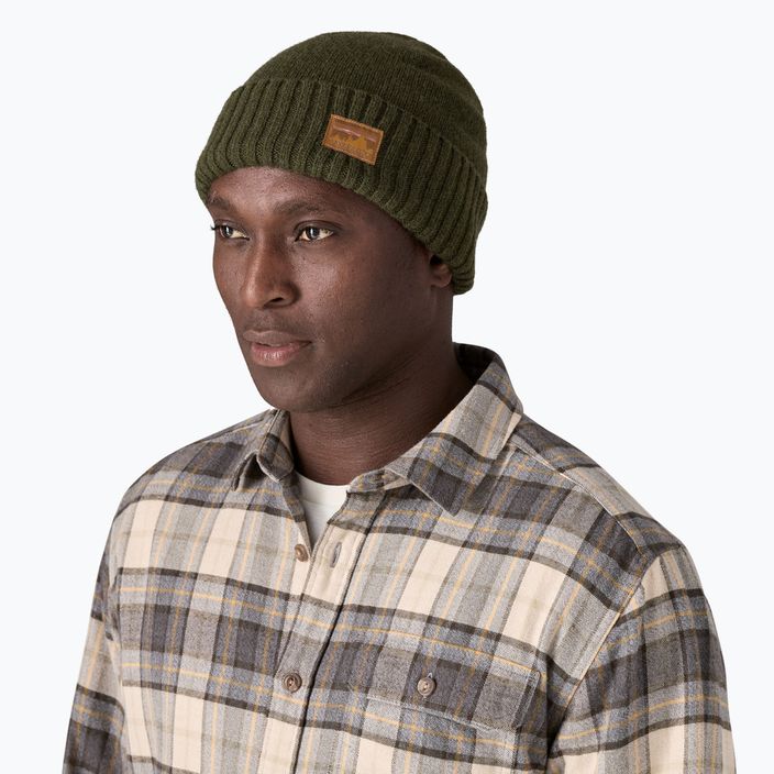 Zimní čepice Patagonia Brodeo Beanie 73 skyline/pine needle green 2