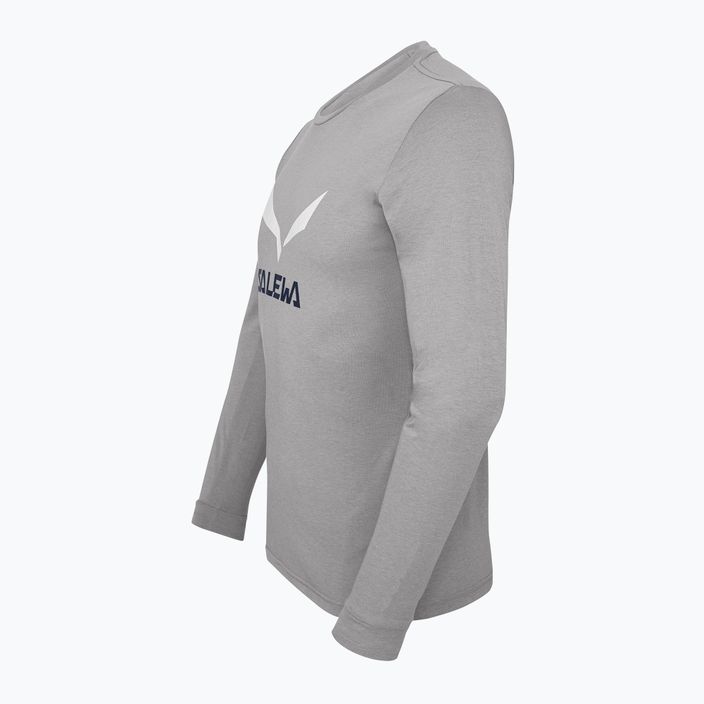 Pánské trekové tričko Salewa Solidlogo Dry grey 00-0000027340 5