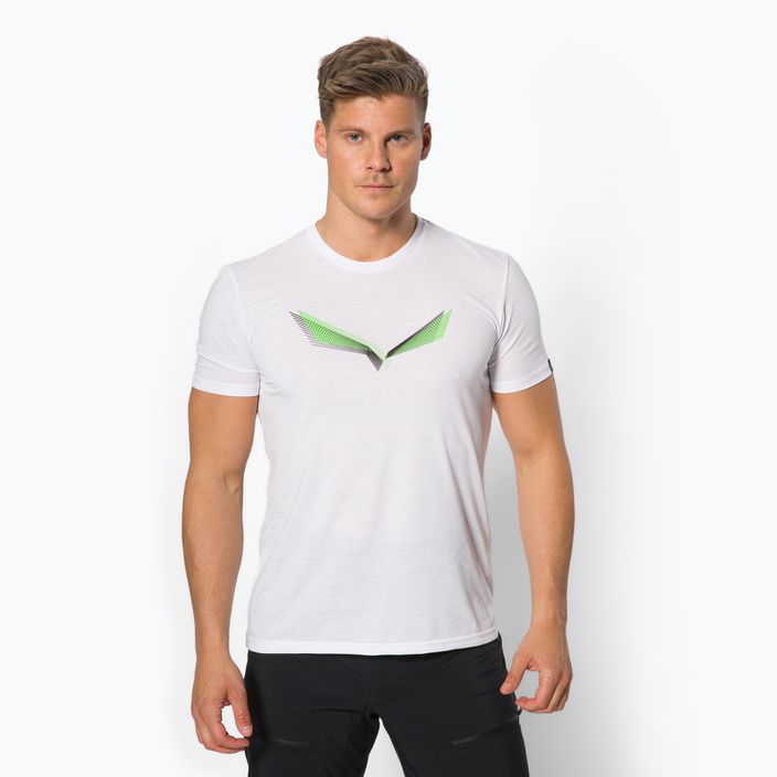 Pánské trekové tričko Salewa Lines Graphic Dry white 00-0000028065
