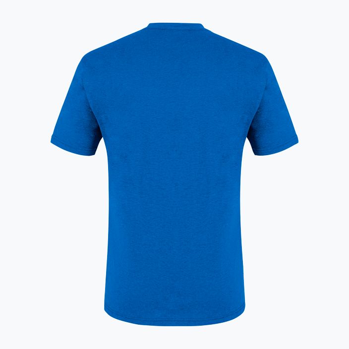 Pánské trekingové tričko Salewa Alpine Hemp Logo modré 00-0000028132 5