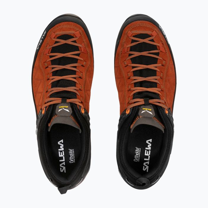 Salewa MTN Trainer 2 GTX pánské trekové boty orange 00-0000061356 14