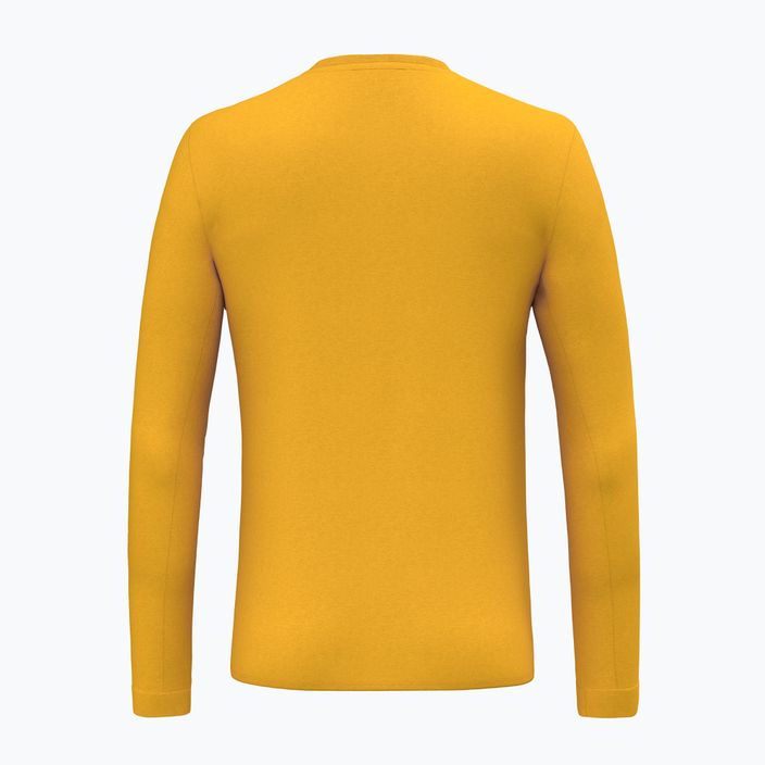 Pánské trekingové tričko longsleeve Salewa Solidlogo Dry gold 2