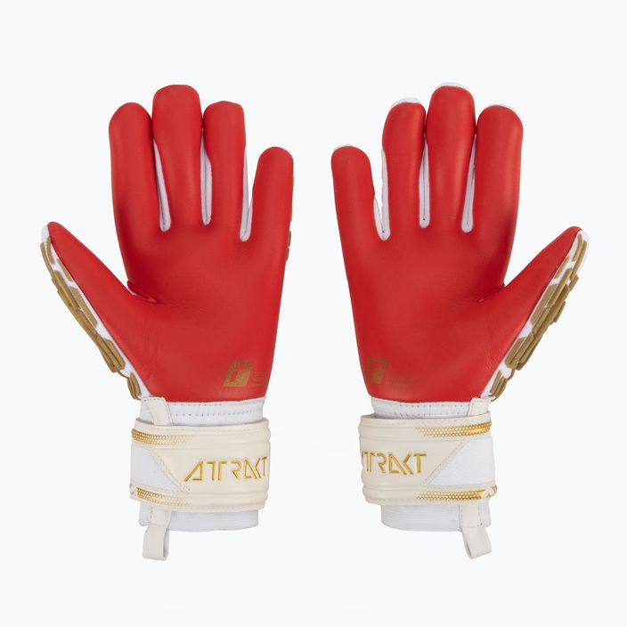 Reusch Attrakt Freegel Silver brankářské rukavice bílé 5370235-1011 2
