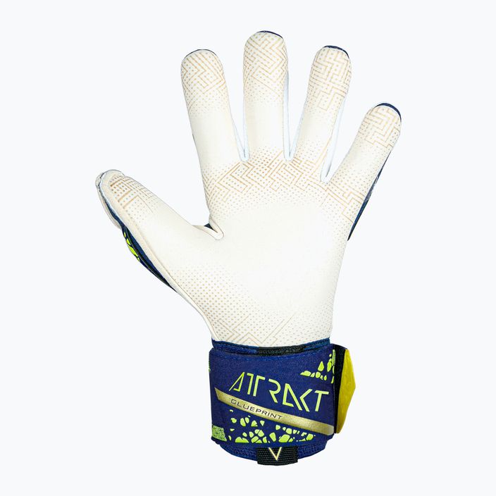 Brankářské rukavice Reusch Attrakt Gold X GluePrint premium blue/gold 3