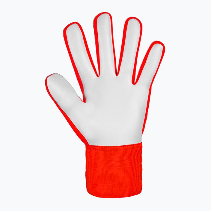 Brankářské rukavice Reusch Attrakt Starter Solid bright red/future blue 3