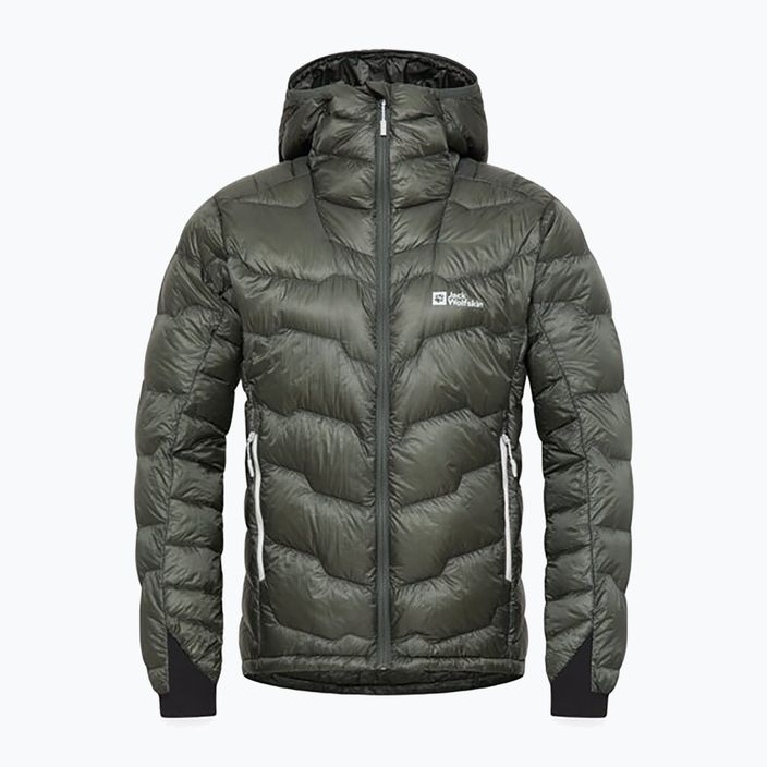 Pánská péřová bunda Jack Wolfskin Alpspitze Down Hoody slate green 8