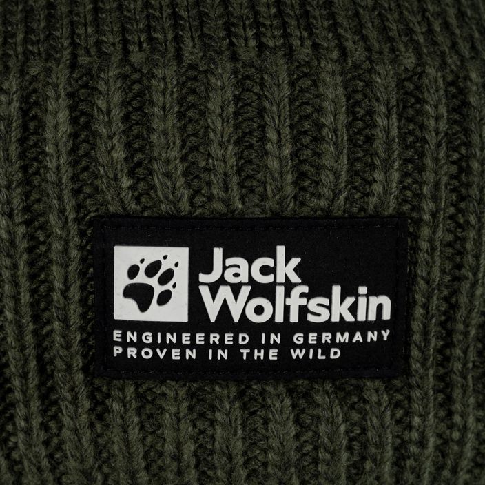 Jack Wolfskin Playn Logo Beanie zimní čepice island moss 4