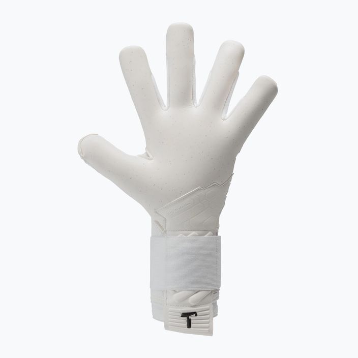T1TAN Ice Beast 2.0 brankářské rukavice bílo-modré 201905 5
