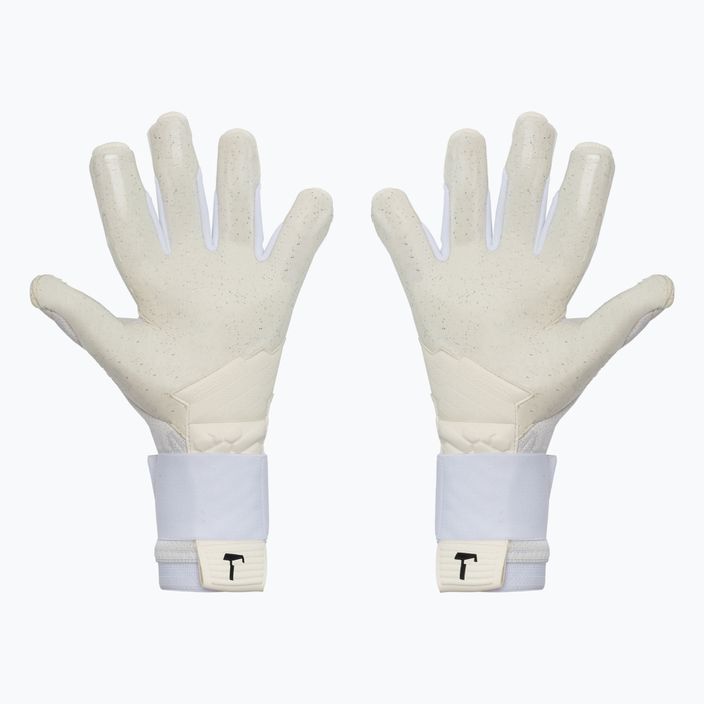 T1TAN Ice Beast 2.0 brankářské rukavice bílo-modré 201905 2