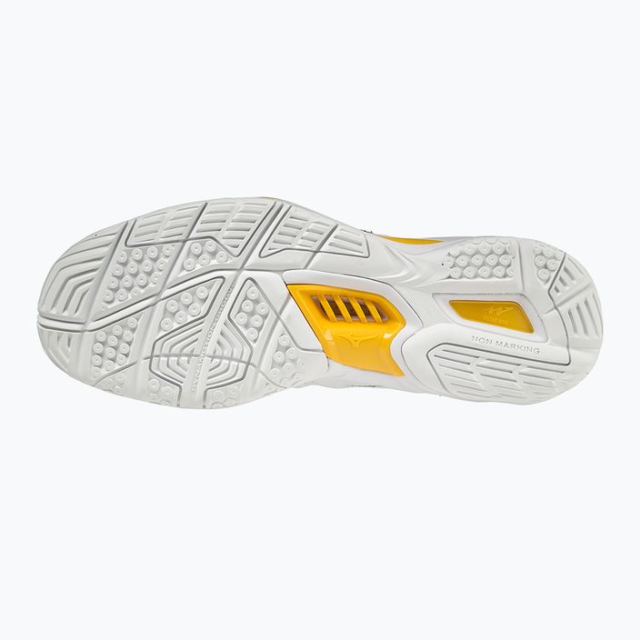 Pánská házenkářská obuv Mizuno Wave Stealth V white X1GA180013 15