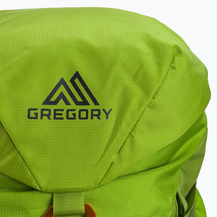 Gregory Alpinisto 35 l lezecký batoh zelený 02J*04041 5