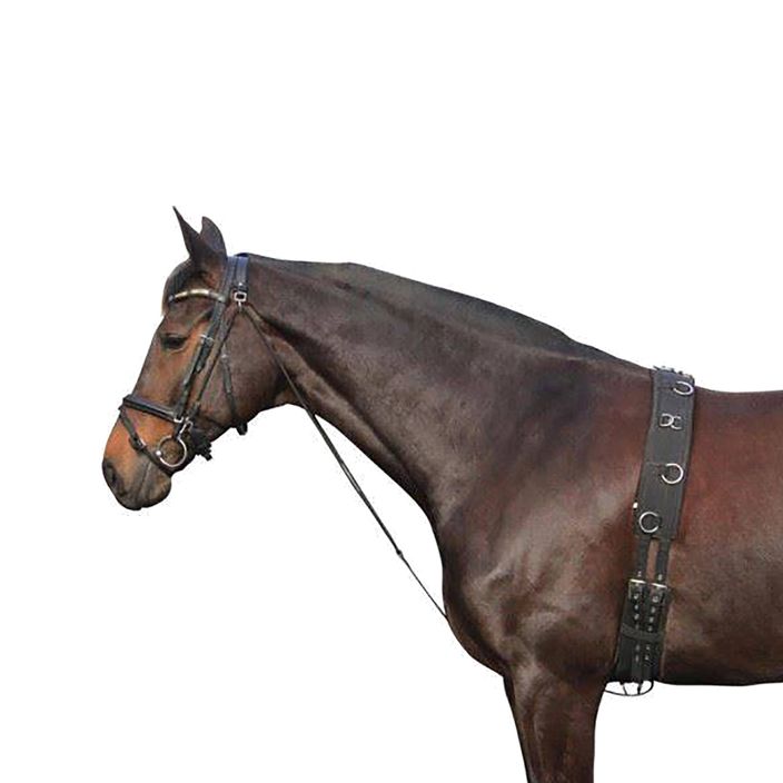 York horse chambon černý 180202 2