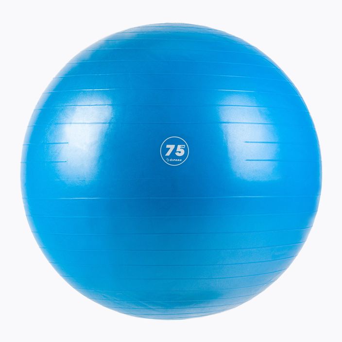 Gymnastický míč fitness Gipara modrý 3007