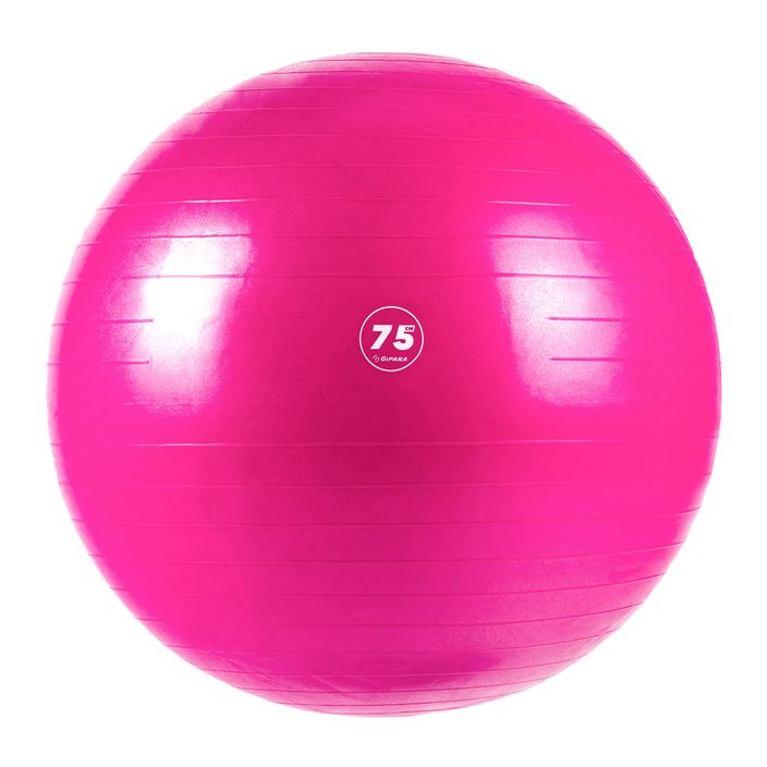 Gymnastický míč fitness Gipara růžový 3008 2