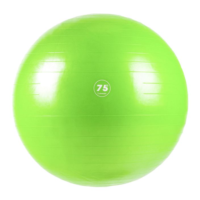 Fitness míč Gipara zelený 3006 2
