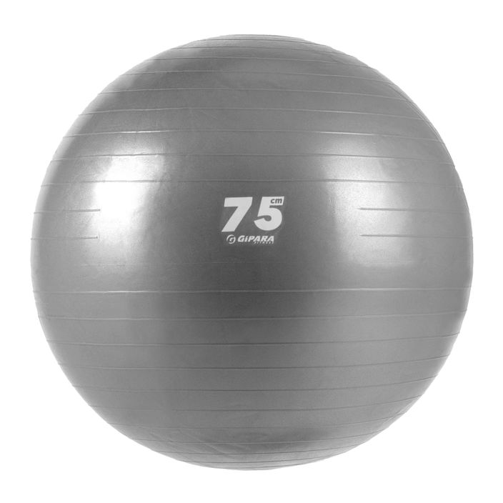Gymnastický míč fitness fitness Gipara šedý 3143 2