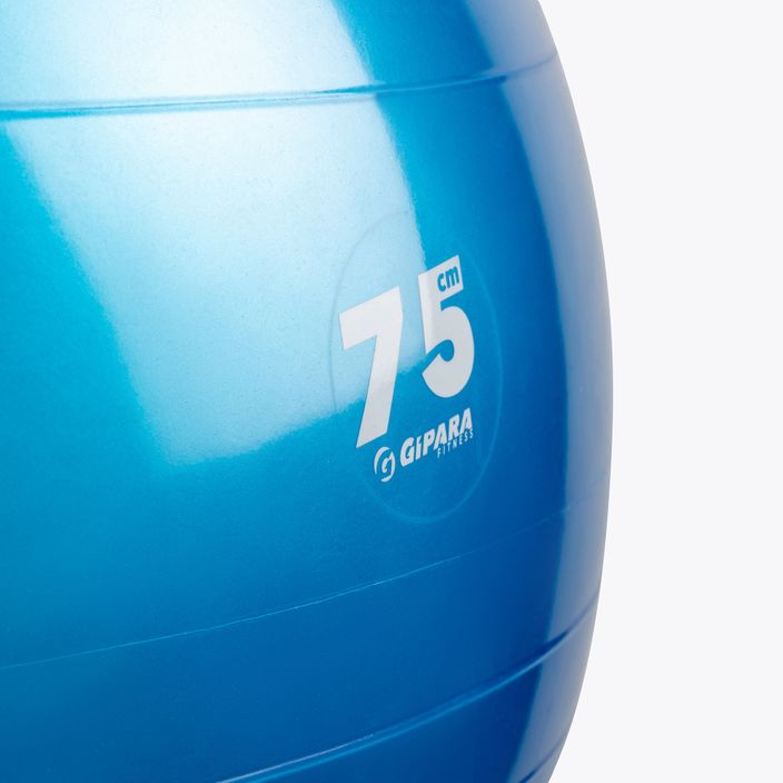 Gymnastický míč Gipara modrý 4900 2
