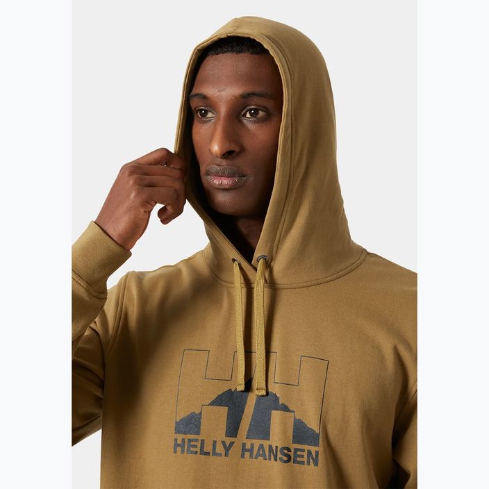Pánská mikina Helly Hansen Nord Graphic Pull Over Hoodie lynx 3