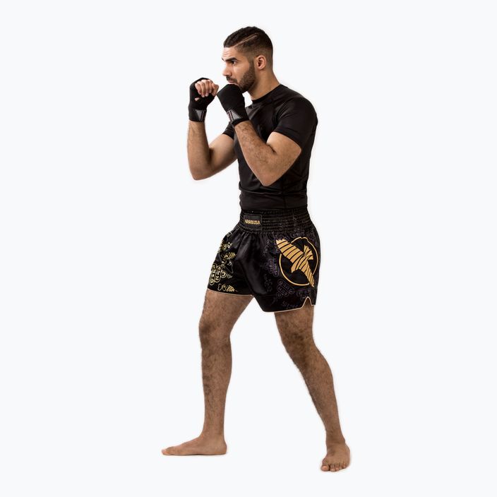 Pánské šortky Hayabusa Falcon Muay Thai black 3