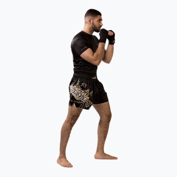 Pánské šortky Hayabusa Falcon Muay Thai black 4