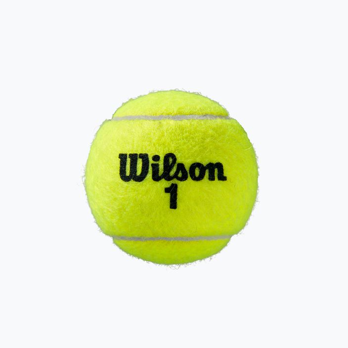 Sada tenisových míčků Wilson Roland Garros Clay Ct 3 ks žlutá WRT125000 3