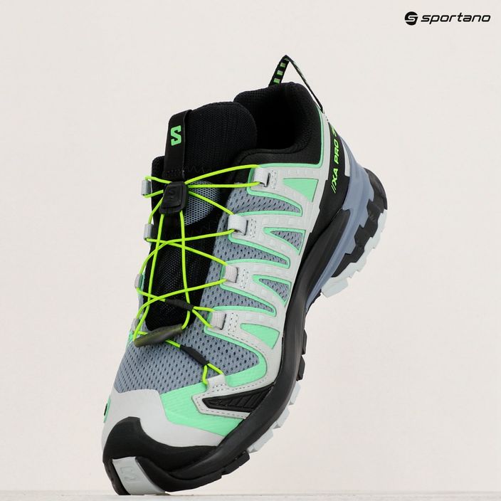 Pánské běžecké boty  Salomon XA Pro 3D V9 flint/grgeck/black 9