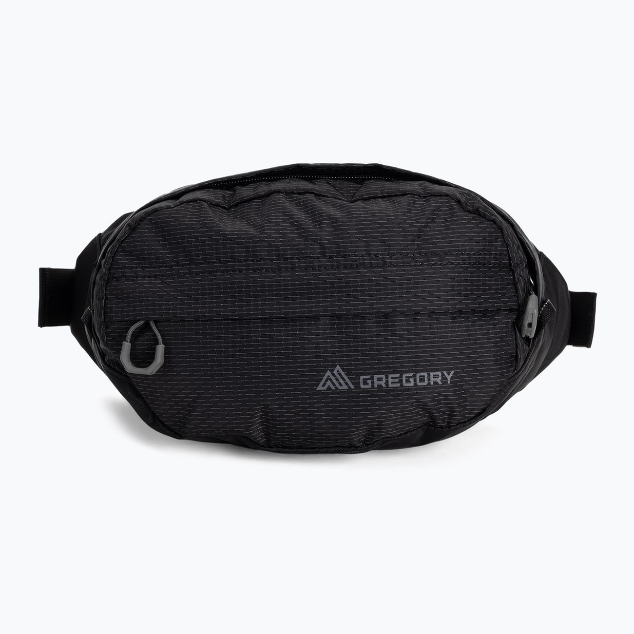 Ledvinka Gregory Nano Waistpack černá 126861 3