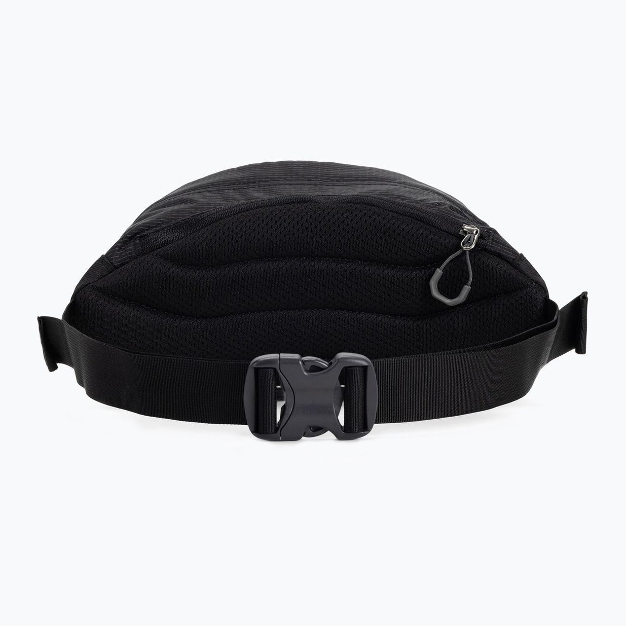 Ledvinka Gregory Nano Waistpack černá 126861 6