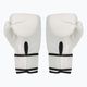 Pánské boxerské rukavice EVERLAST Core 4 bílé EV2100 WHT-S/M 2