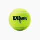 Wilson Champ Xd Tball set 3 ks žlutý WRT100101 2