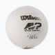 Volejbalový míč Wilson Castaway VB bílý WTH4615XDEF 2