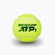 Sada tenisových míčků 4 ks. Dunlop Atp 4B žlutá 601314 3