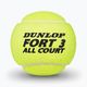 Sada míčků 4 ks. Dunlop Fort All Court Ts 4B žlutá 601316 3