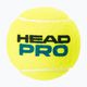 Sada tenisových míčků 4 ks. HEAD Pro 4B žlutá 571604 2